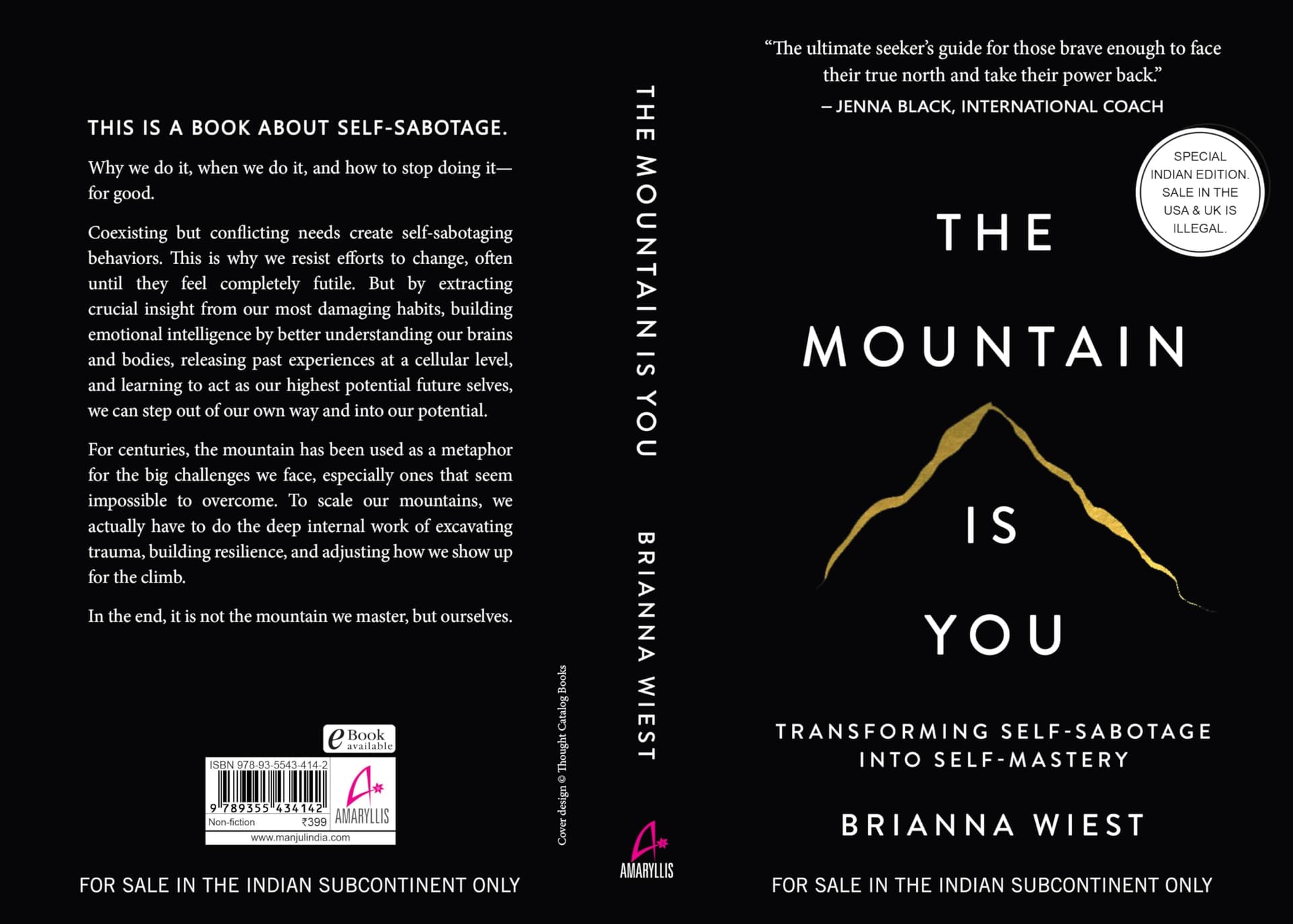 The Mountain Is You: Transforming Self-Sabotage Into Self-Mastery thumbnail 7