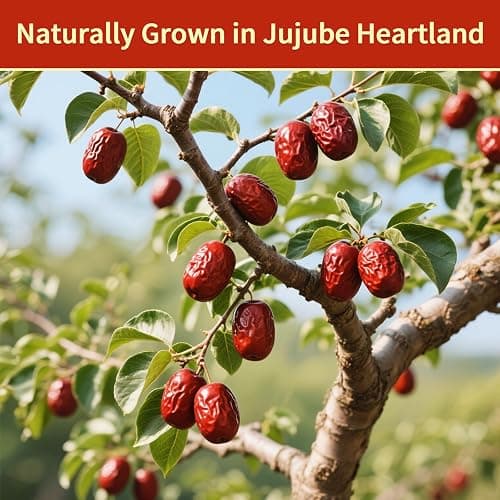 Haomly Jujube Date,10.58 oz/300g,Natural Health Snack,Sweet & Chewy & Delicious Dried Dates,Large-size Red Date for Snacking, Brewing Tea, Soup, Baking, Oatmeal,Improve sleep,No Additives thumbnail 3