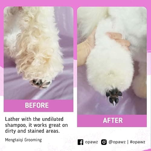 OPAWZ 05 Whitening Purple Shampoo for Dog and Cat, Safely Remove Yellow Stains, with No Bleach, Peroxide and Sulfate, Professional Groomers Recommended Product, 16.9 oz thumbnail 6