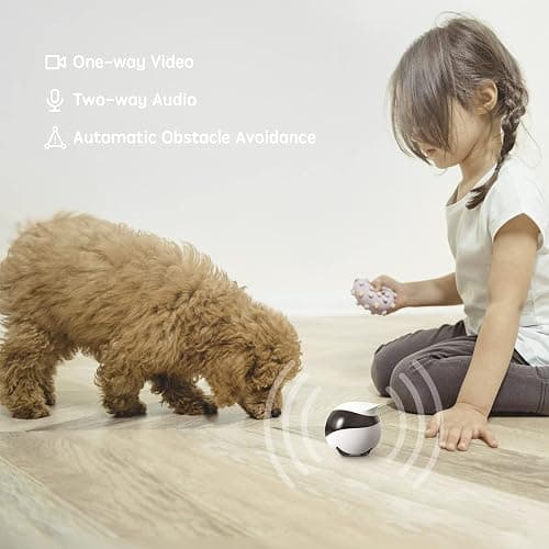 Enabot EBO SE FamilyBot Home Camera Robot: 1080P Movable Pet Camera Indoor, Battery-Operated, Auto-Recharge, Night Vision, 2-Way Talk, Local Storage, APP Control thumbnail 3