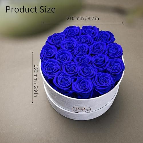 Preserved Roses Flower Box, Luxury Velvet Box with 20 Roses, Preserved Flowers, Romantic Gift for Her, Wife, Girlfriend, Birthday Anniversary Christmas (Royal Blue) thumbnail 2