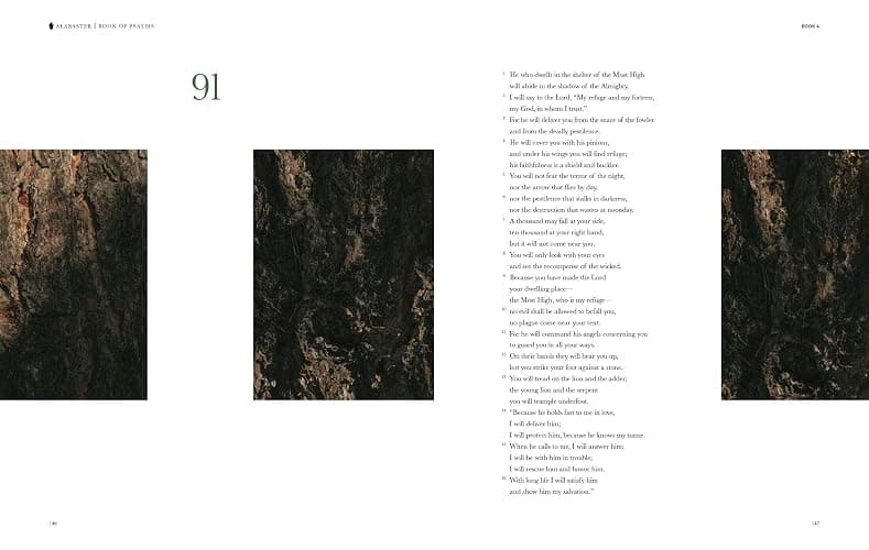 Book of Psalms - Alabaster Bible (NLT) thumbnail 5
