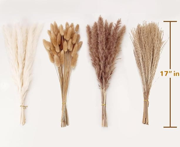 Dried Pampas Grass Decor, 100 Stems Pampas Grass Contains Bunny Tails Dried Flowers, Reed Grass Bouquet for Wedding Boho Flowers Home Table Decor, Rustic Farmhouse Party (17", White and Brown) thumbnail 3