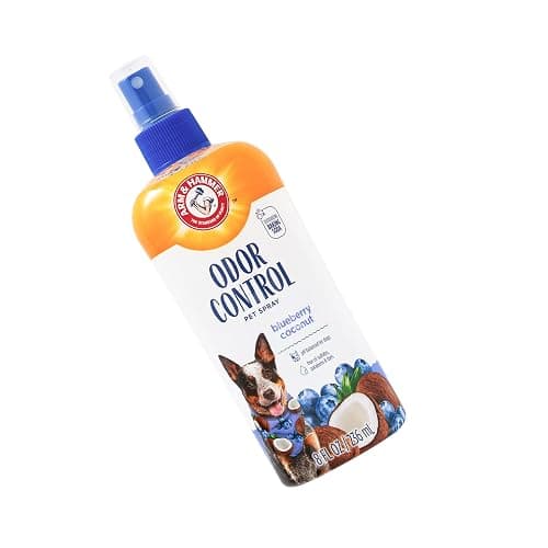Arm & Hammer for Pets Odor Control Spray for Dogs, Blueberry Coconut, Odor Eliminating Dog Spray, Dog Deodorizer, 8 Fl Oz thumbnail 3