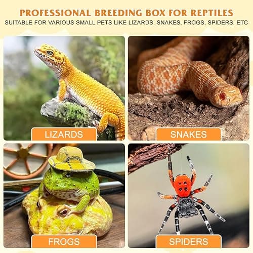 POPETPOP Reptile Terrarium Box 10.24×7.09×4.53In Plastic – Ventilated & Secure for Escape Prevention, Easy Feeding Access Without Disturbance – for Small Reptiles, Insects, Hatchlings, Geckos, Tortois thumbnail 6