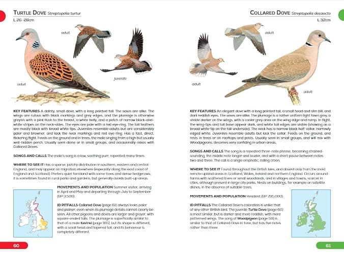 RSPB Pocket Guide to British Birds thumbnail 5