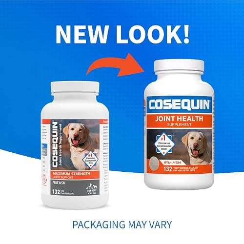 FOR MIKAH - vitamins for his kyphosis, lol thumbnail 2