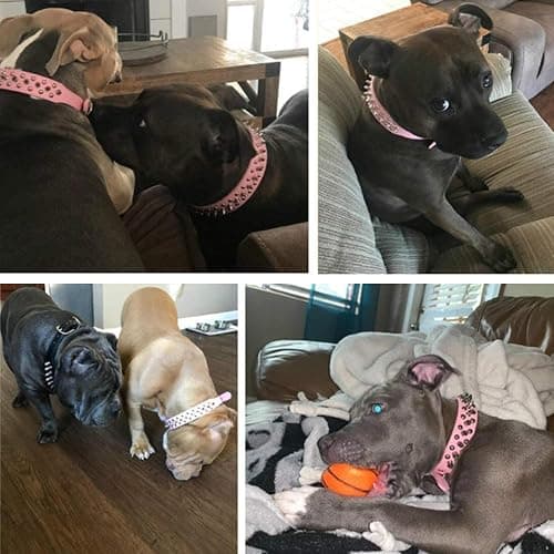 TEEMERRYCA Adjustable Leather Spiked Studded Dog Collars with a Squeak Ball Gift for Small Medium Large Pets Like Cats/Pit Bull/Bulldog/Pugs/Husky, Pink, L(15"-18.5") thumbnail 3