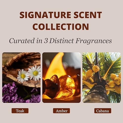 Car Air Freshener - Wood Air Freshener - Car Odor Eliminator for Visor Clip-Variety Scent Refill, Vehicle Scent Diffuser for Cabin, Truck & SUV - Pack of 3 (Teak-Amber-Cabana)-CLIP INCLUDED thumbnail 4