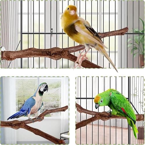 6 Pcs Parrot Perch Bird Perch Stand Set Budgie Toys Bird Cage Accessories Toys for Cockatiels Lovebirds Budgies Chewable (Natural, 10-12Inch) thumbnail 6