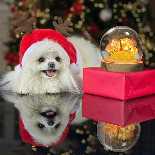 LOGAZOO (20 Flower) Birthday Gifts for Mom, Tulip Lamp Night Light with Glass Dome,Handmade Artificial Flower Table Lamp Bedroom Desk Decoration for Women Daughter Girlfriend Christmas Holiday Gift thumbnail 8