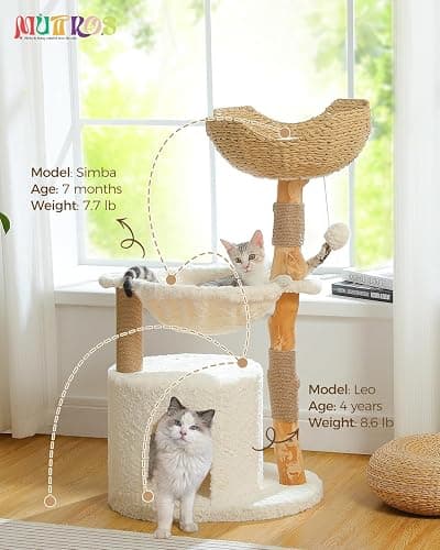 MUTTROS Modern Cat Tree for Large Cats, Wood Cat Tower for Indoor Cats, Real Branch Luxury Cat Furniture with Super Large Cozy Condo and Hammock & Scratching Post, Top Basket, White thumbnail 7