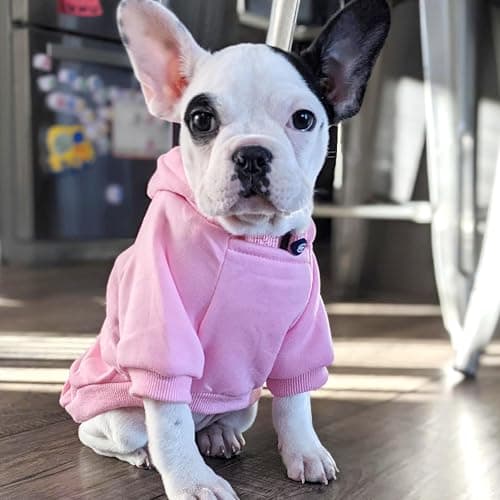 Jecikelon Winter Dog Hoodie Sweatshirts with Pockets Warm Dog Clothes for Small Dogs Chihuahua Coat Clothing Puppy Cat Custume (Pink, Medium) thumbnail 5