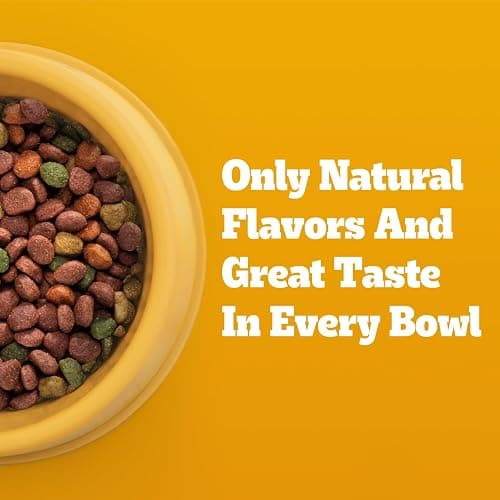 Pedigree Adult Dry Dog Food, Complete Nutrition, Grilled Steak & Vegetable Flavor, 18 lb. Bag thumbnail 7