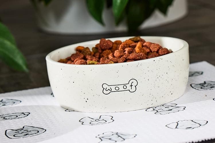 Pearhead Ceramic Dog Bowl – “Woof” Speckled Pet Food & Water Dish, Durable Stoneware, Non-Slip Heavy Base, 20 oz, Medium thumbnail 5