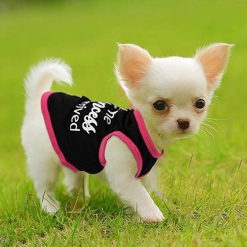 4 Pieces Chihuahua Clothes Dog Clothes for Small Dogs Girl Puppy Shirts for Yorkie Soft Cute Pattern Dog Shirt Pet Cat Clothing Pink (XX-Small) thumbnail 3