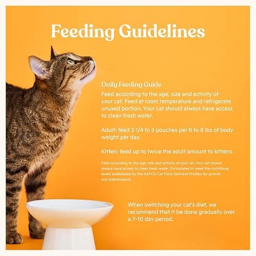 Made by Nacho Wet Cat Food, Cuts in Gravy, Sustainably-Caught Salmon with Bone Broth for Extra Hydration, (12) 3 oz. Pouches, Limited Ingredients thumbnail 7