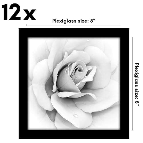 Americanflat 8x8 Picture Frame with Polished Plexiglass - Set of 12 - Signature Collection - Picture Frames with Engineered Wood - Square Frame for Tabletop and Wall Display - Black thumbnail 3