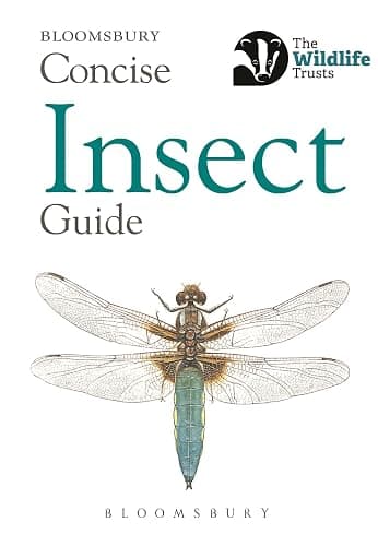 Concise Insect Guide (Concise Guides) - Image 1