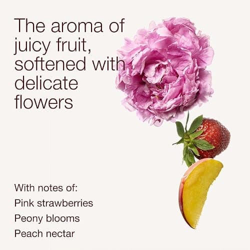 Bath & Body Works Gingham Gorgeous Fine Fragrance Mist, Body Spray & Perfume for Women, Long-Lasting Personal Fragrance – Pink Strawberries, Peony Blooms, and Peach Nectar Scent, 8 fl oz - 1 Pack thumbnail 3