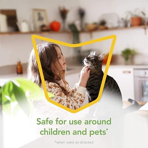 Raid Essentials Fly, Gnat, and Mosquito Killer Aerosol Spray, Safe for Use Around Children and Pets, 10 oz thumbnail 3