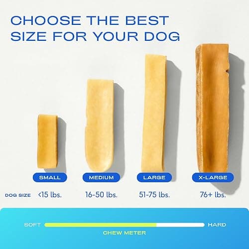 Native Pet Yak Cheese Himalayan Dog Chews - Long Lasting Dental Sticks for Medium Breeds – 100% All Natural Himalayan Yak Chews for Medium Dogs – Cheese Bone for Aggressive Chewers - 10 Per Pack thumbnail 5