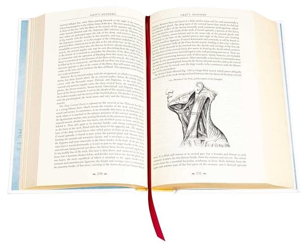 Gray's Anatomy: Anatomy Descriptive and Surgical (Leather-bound Classics) thumbnail 5