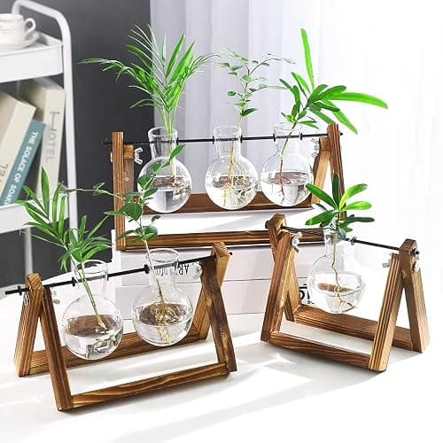 Kingbuy Plant Terrarium Propagation Station - 3 Glass Bulb Vases with Retro Wooden Stand Boho Desktop Planter for Hydroponics Home Garden Indoor Home Office Decor Unique Gifts for Women & Plant Lovers thumbnail 3