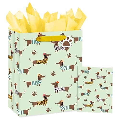 Loveinside Dachshund Gift Bag for Boys Girls, Cut Sausage Dog Dressed-Up Design with Paw Prints, Green Medium Gift Bag with Tissue Paper, Tag, Card for Birthday, Pet Party, 10" x 5" x 13", 1 Pcs - Image 1