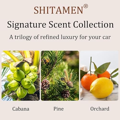 Car Air Freshener, Wood Air Freshener, Car Odor Eliminator for Visor Clip, 3-Pack Variety Scent Refill, Long Lasting - CLIP INCLUDED (Cabana-Pine-Orchard) thumbnail 2