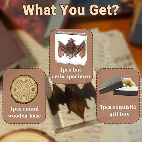 Artojoy Taxidermy Bat, Real Bat Specimens Animal Specimen Preserved in Resin, Gothic Decor Display for Science Classroom Science Education, Gift for Fans of Taxidermy, Oddities, Biology thumbnail 5