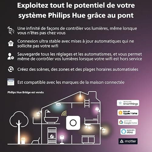 Philips Hue Lightstrip Play Gradient pour TV 55 pouces, Bande ambilight pour synchronisation de la lumière avec l'écran, Bande led compatible avec Alexa, Google Assistant et Apple Homekit thumbnail 6