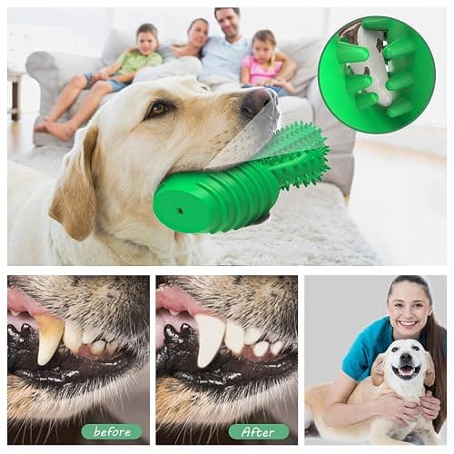 Pamlulu Dog Chew Toys Dog Toothbrush Stick Teeth Cleaning Brush Dental for Medium Large Dog, Puppy Christmas Easter Birthday Gifts, Outdoor Squeaky Toys for Aggressive Chewers Interactive Tough Toys thumbnail 3