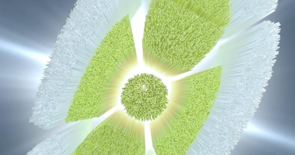 Philips Sonicare W DiamondClean - Genuine Replacement Electric Toothbrush Heads, White, 4 Pack One Year Supply, HX6064/65 thumbnail 11