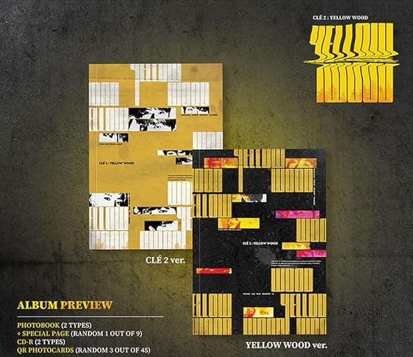 STRAY KIDS Special Album - CLE 2 : Yellow Wood ( Yellow Wood Ver. ) CD+Photobook+QR Photocards+( Extra 4 Photocards + 1 Double-Sided Photocard ) thumbnail 2