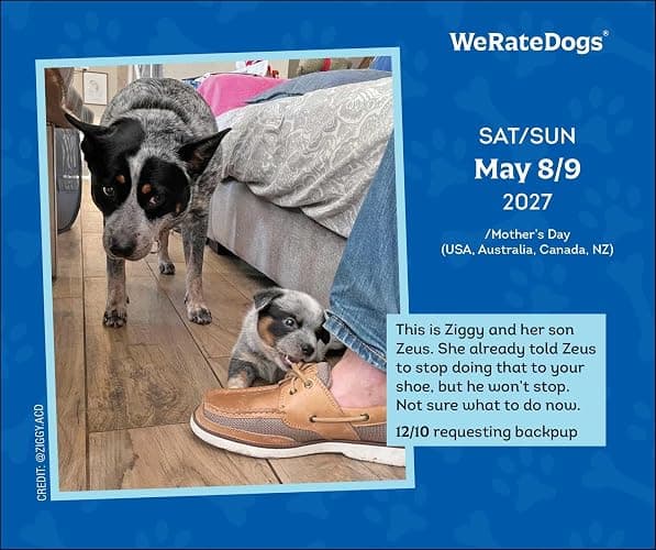 WeRateDogs 2027 Day-to-Day Calendar thumbnail 3