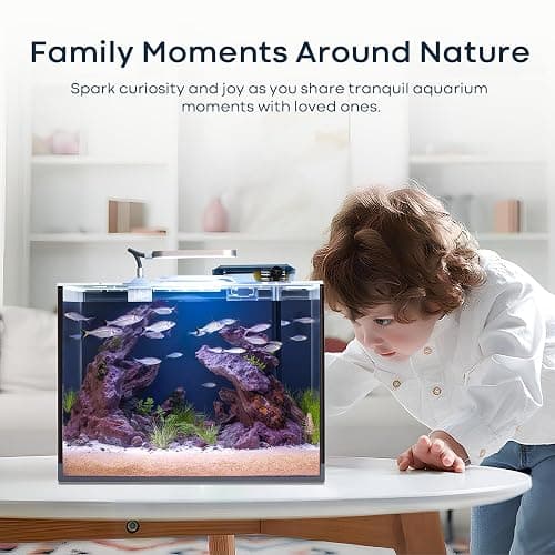 Wonderfactory 5 Gallon Small Aquarium Set Glass Fish Tank 6 Gallon, Starter Kit with Heater Water Pump Cleaning System Filter Bright Light Rocks Gravel Cleaning Tool, Clear Rimless Betta Plants thumbnail 5
