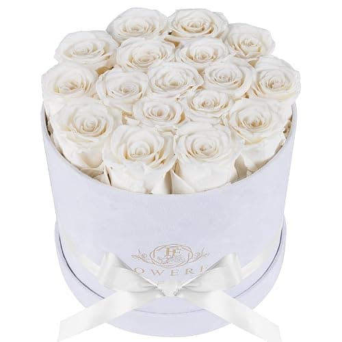 17 Flowers in a Luxury Suede Box, Birthday Gifts for Women, Preserved Flowers, Mothers Day Roses Gift for Mom, White - White - 17 Roses - Image 1