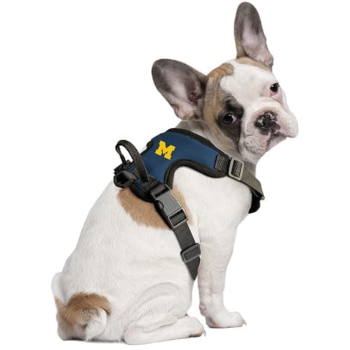 Littlearth NCAA Michigan Wolverines Pet Front Clip Harness, Team Color, Small thumbnail 2