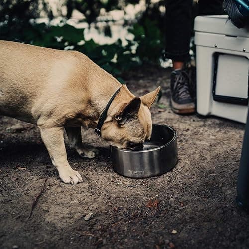 YETI Boomer 8 stainless steel dog bowl thumbnail 7