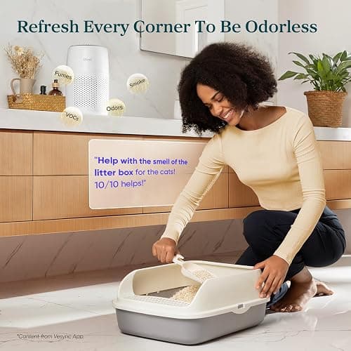 LEVOIT Air Purifiers for Bedroom Home Dorm, 3-in-1 Filter Cleaner with Fragrance Sponge for Better Sleep, Filters Smoke, Allergies, Pet Dander, Odor, Dust, Office, Desktop, Core Mini-P, White thumbnail 3