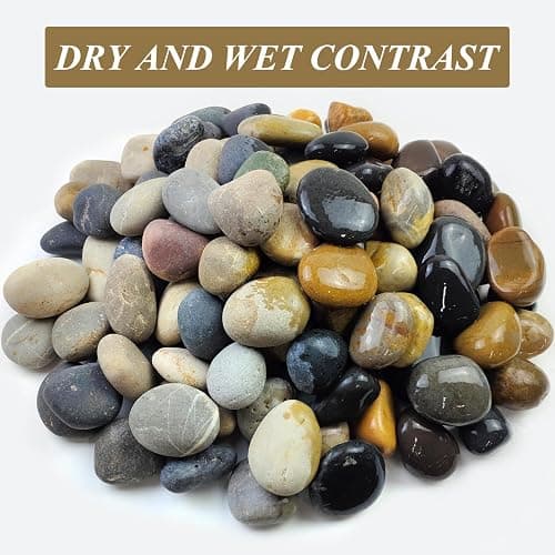 FANTIAN 20 lbs Natural River Rocks Mexican Beach Pebbles, 2-3 Inch Decorative River Rocks for Landscaping Garden Paving Plant Rocks Crafting Walkways and Outdoor Decorative Stone thumbnail 4