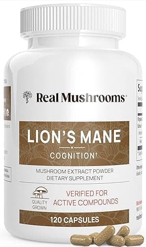 Lions Mane Mushroom Cognition Capsules (120 Capsules) Lions Mane Mushroom Powder Extract Capsules | Brain Supplement, Brain Vitamins, Focus Supplement - Image 1