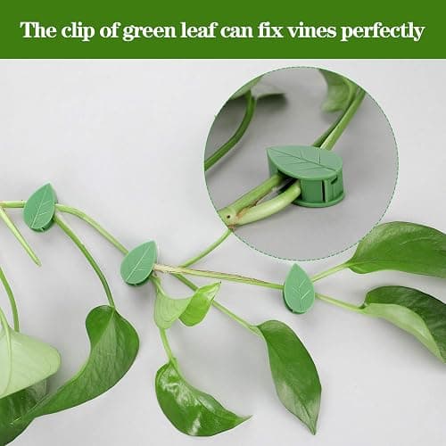Geiserailie 60 Plant Climbing Clips Wall Fixture with 72 Stickers for Vine | Invisible Leaf Traction Fixer, Self-Adhesive Hook, Indoor Outdoor Use, Decoration, Clear Acrylic Sticker thumbnail 3