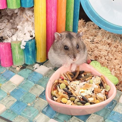 2 Pcs Hamster Ceramic Food Bowl, Cute Shape Anti-Turning Dish for Hamster Gerbil Hedgehog Guinea Pig Rat Rodent thumbnail 2