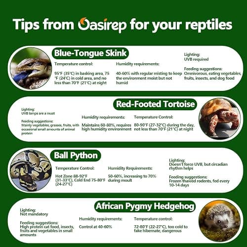 Oasirep 2-Pack Reptile Thermometer and Hygrometer – LCD Digital Temp & Humidity Monitor for Bearded Dragon, Gecko, Snake Tanks, Incubation Boxes, Indoor Pet Habitats thumbnail 6