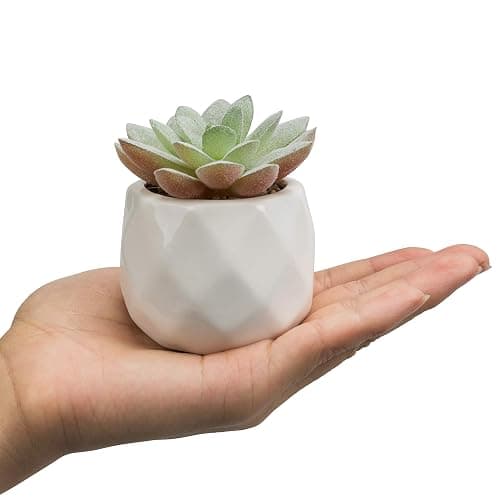 MyGift Mini Assorted Green Faux Succulent, Indoor Fake Plants in Geometric Ceramic Pots, Set of 6 thumbnail 5