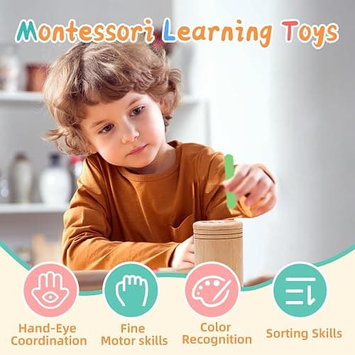 MTTIERY Montessori Wooden Color Sorting Toys for 18 Month Old,Preschool Learning Activities Educational Fine Motor Matching Game,Birthday Gifts for Boys Girls thumbnail 4