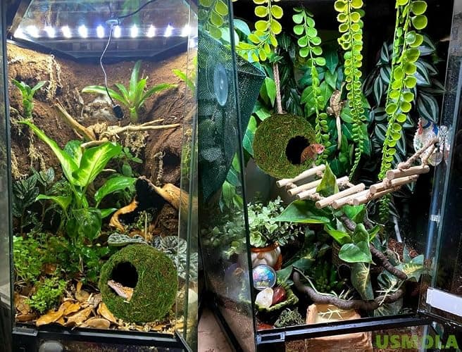 USMOLA Mossy Caves, Artificial Green Moss Caves Hide for Pet Reptile Frogs and Snakes, Terrarium & Vivarium Decor, Crested Gecko Tank Decor (4" - Woodland Green) thumbnail 4