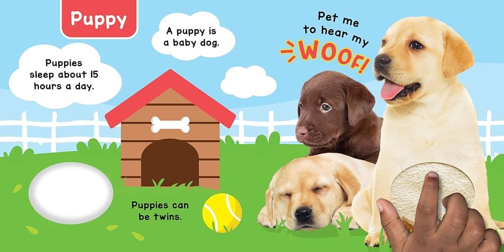 Little Hippo Books Baby Animals - A Noisy Touch and Feel Sensory Book Featuring Farm Sounds thumbnail 3